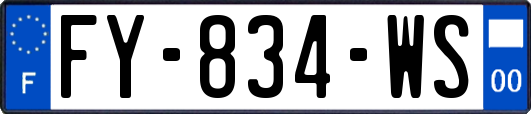 FY-834-WS