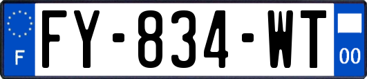 FY-834-WT
