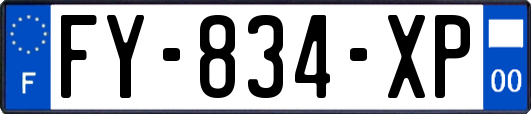 FY-834-XP