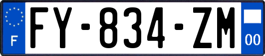 FY-834-ZM