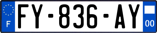 FY-836-AY