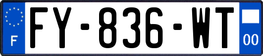 FY-836-WT