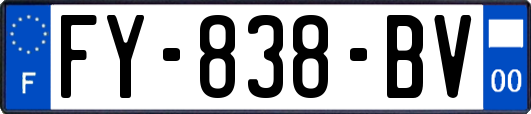 FY-838-BV