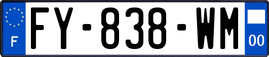 FY-838-WM