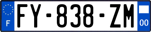 FY-838-ZM
