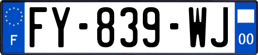 FY-839-WJ