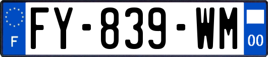 FY-839-WM