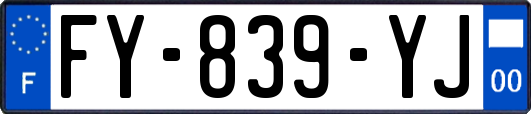 FY-839-YJ