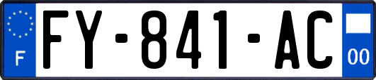 FY-841-AC