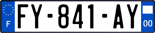 FY-841-AY