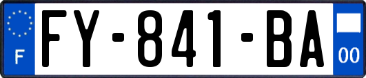 FY-841-BA