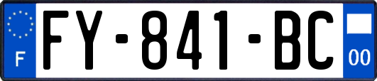 FY-841-BC