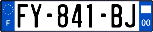 FY-841-BJ