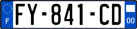 FY-841-CD