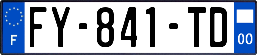 FY-841-TD