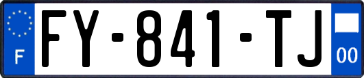 FY-841-TJ