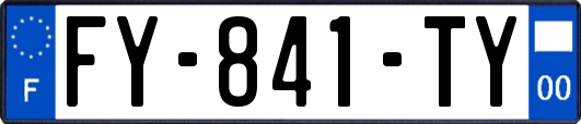FY-841-TY