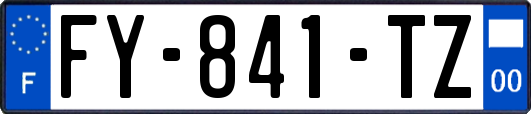 FY-841-TZ