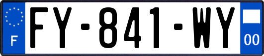 FY-841-WY