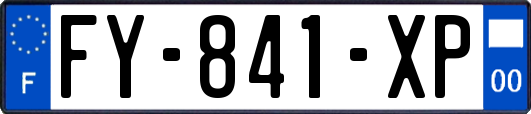 FY-841-XP