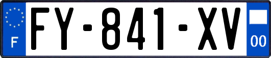 FY-841-XV