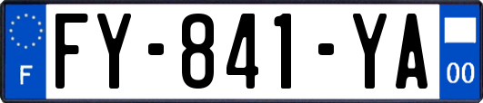 FY-841-YA