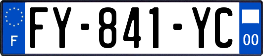 FY-841-YC