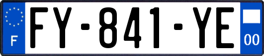 FY-841-YE