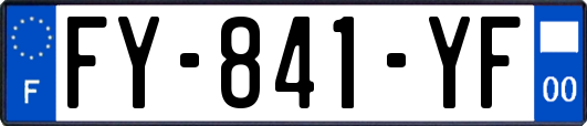 FY-841-YF