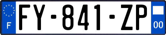 FY-841-ZP
