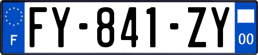 FY-841-ZY