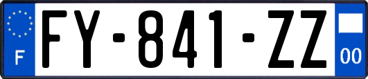 FY-841-ZZ