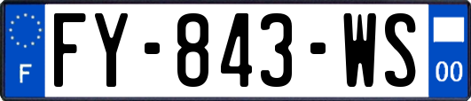FY-843-WS