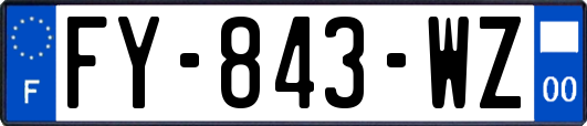 FY-843-WZ