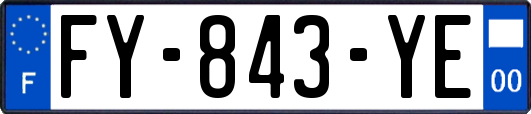 FY-843-YE