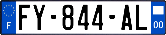 FY-844-AL