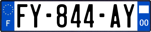 FY-844-AY