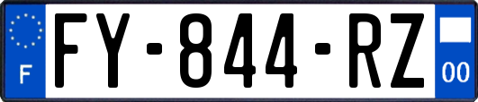 FY-844-RZ