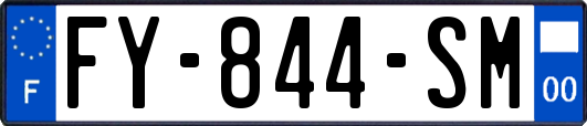 FY-844-SM