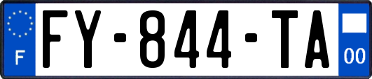 FY-844-TA