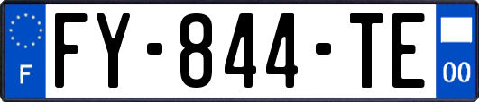 FY-844-TE