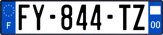 FY-844-TZ