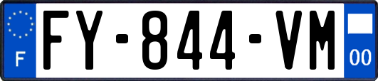 FY-844-VM