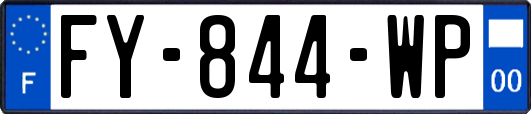FY-844-WP
