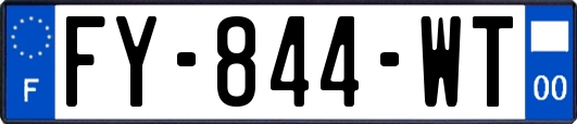 FY-844-WT