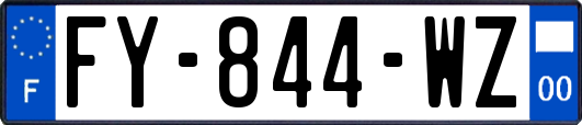 FY-844-WZ