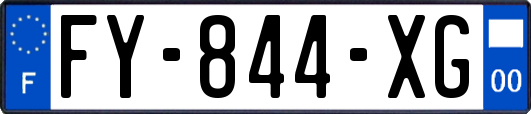 FY-844-XG