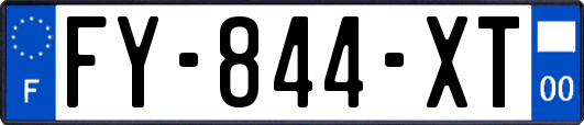 FY-844-XT
