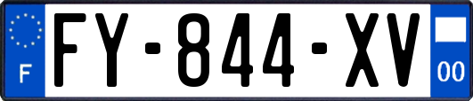 FY-844-XV