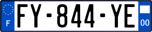 FY-844-YE